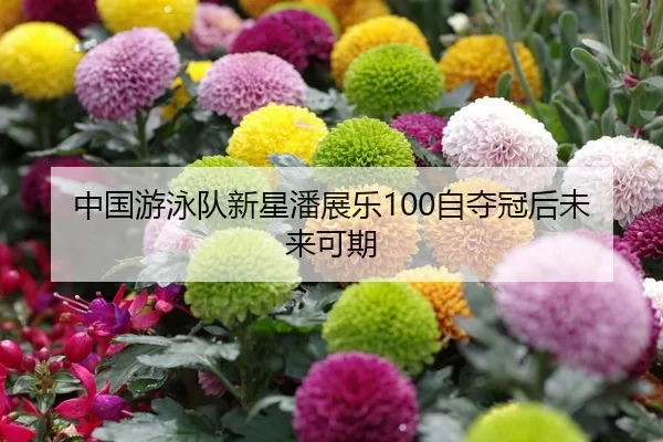 zhong-guo-you-yong-dui-xin-xing-pan-zhan-le-zi-duo-guan-hou-wei-lai-ke-qi-2-470.jpg